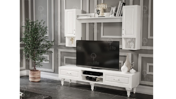 COUNTRY TV UNIT