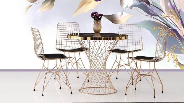 POTA SILVA TABLE and WIRE CHAIR